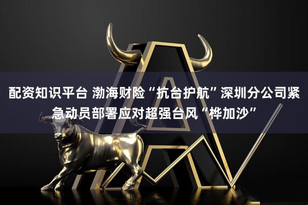 配资知识平台 渤海财险“抗台护航”深圳分公司紧急动员部署应对超强台风“桦加沙”