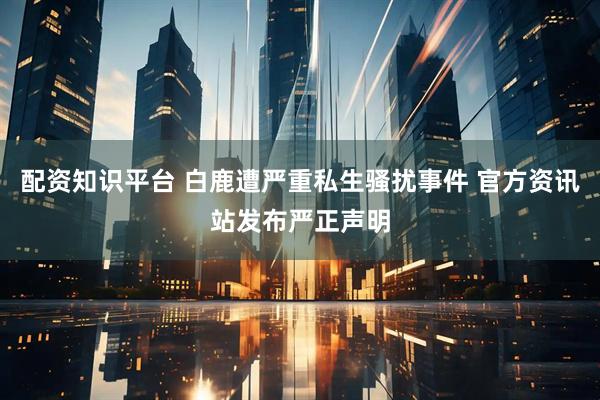 配资知识平台 白鹿遭严重私生骚扰事件 官方资讯站发布严正声明